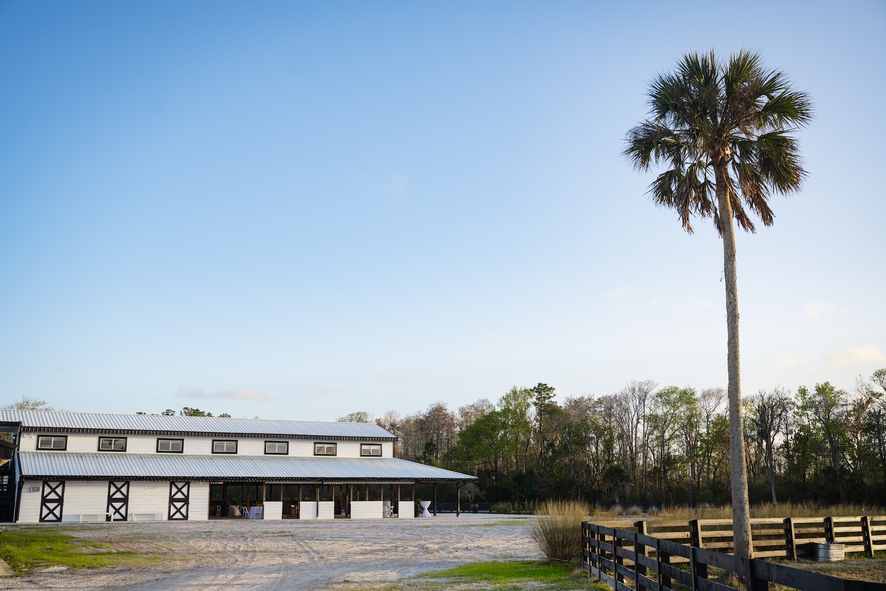 Wide exterior view of Ancient City Farmstead near St. Augustine FL at golden hour, white barn with metal roof beside a tall palm tree and black wooden pasture fence with open countryside behind