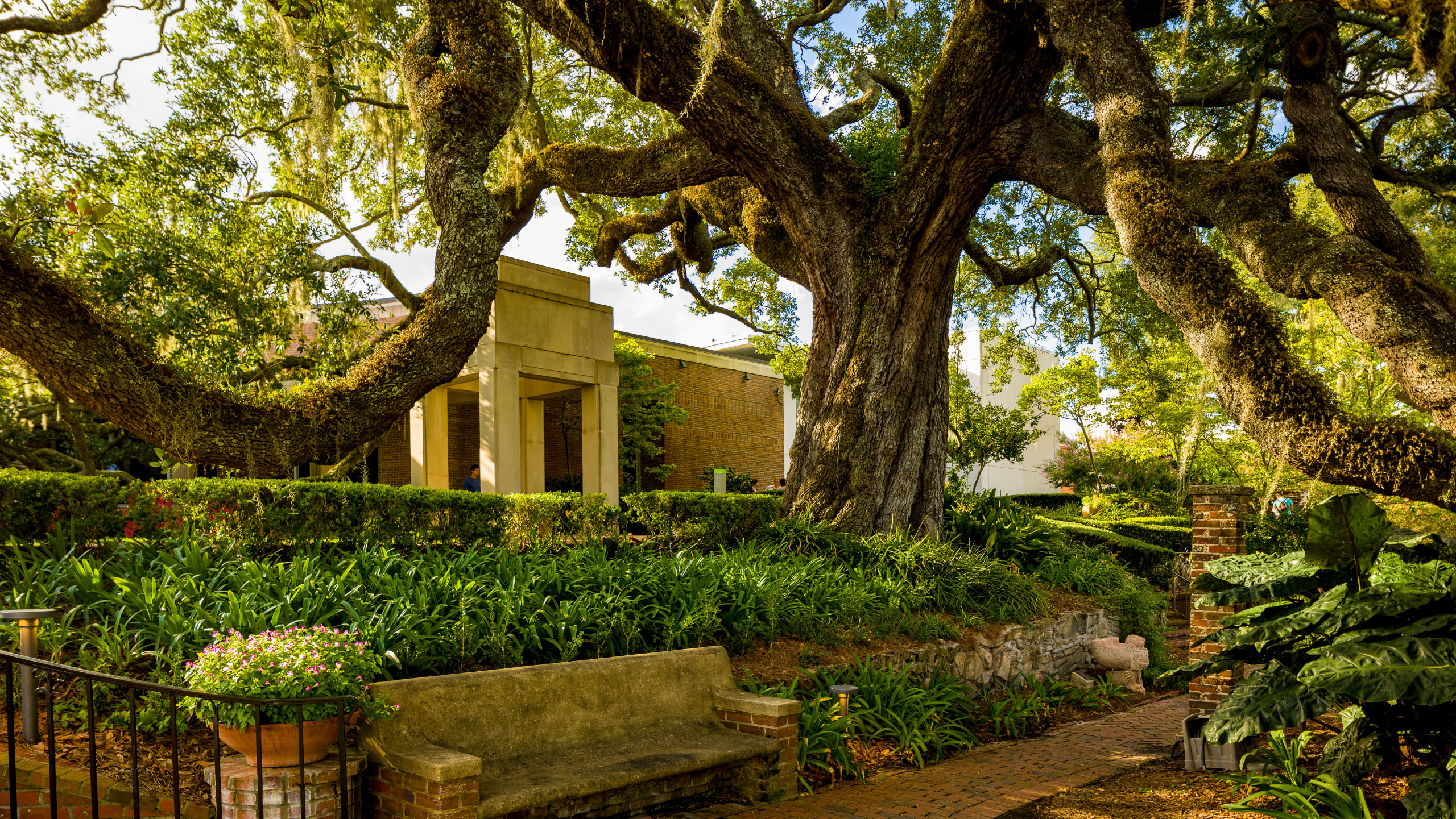 Cummer Museum of Art and Gardens riverfront wedding venue in Riverside Jacksonville