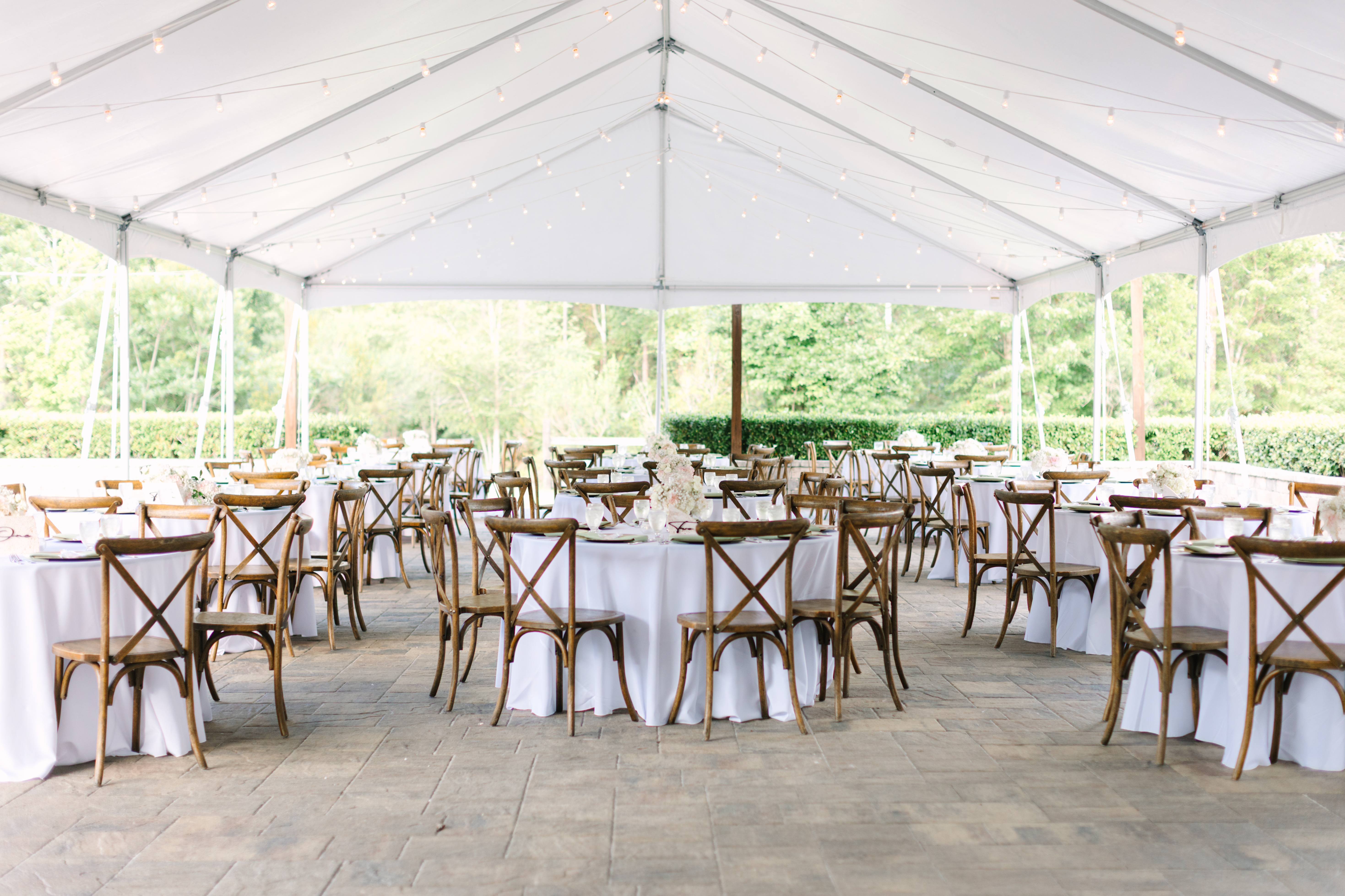 Wide view inside the tented reception at The Manor at 12 Oaks Green Cove Springs FL, round tables with white linens and cross-back wooden chairs, string lights across the tent ceiling, lush garden hedges visible through the open sides